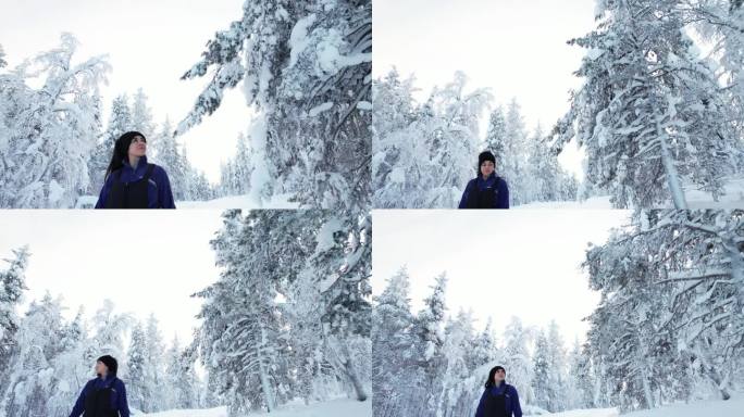 女孩走在雪景中，欣赏芬兰拉普兰的美丽和树木，北极圈