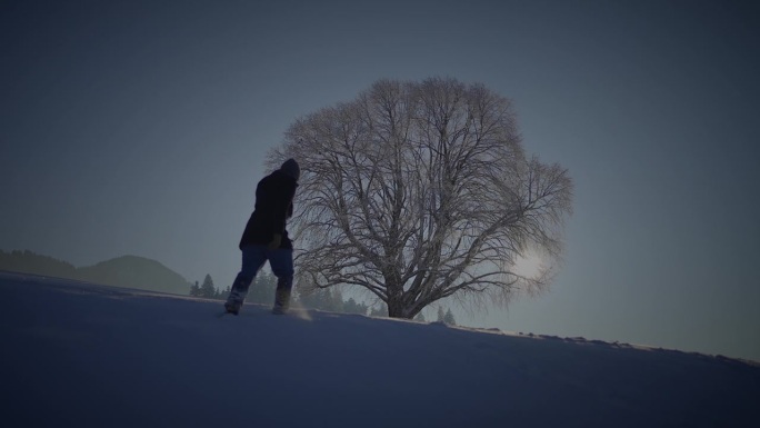 男人走在深雪中看着一棵树