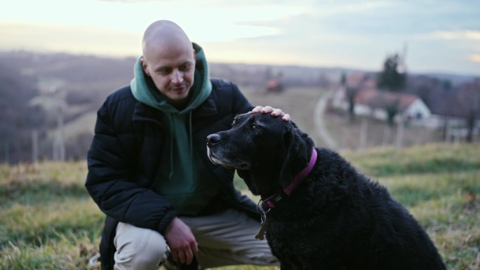 在日出的葡萄园，快乐的年轻秃顶癌症患者穿着冬季夹克与黑色拉布拉多犬抚摸握手