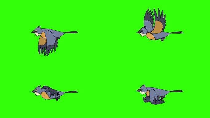 蓝鸟在飞行动画中扇动翅膀。