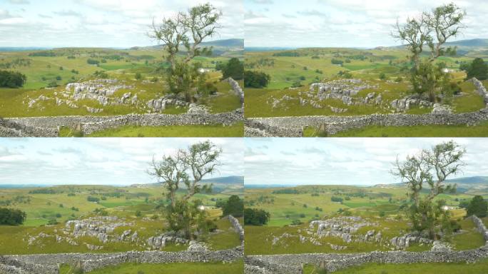 典型的英国乡村美景，广阔的草地和石墙