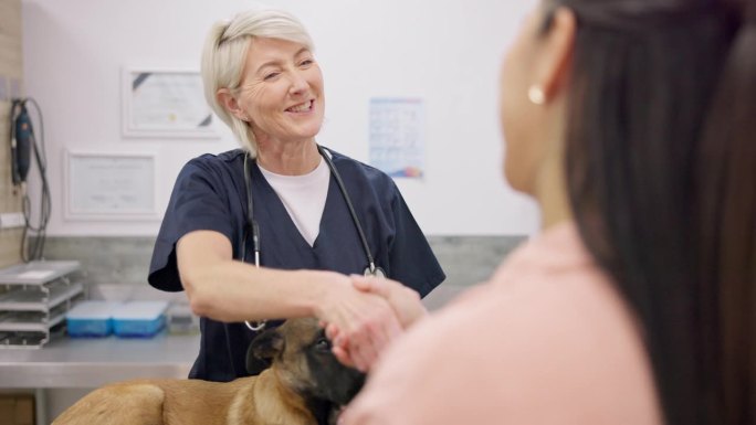 兽医握手，狗或快乐的女人，成熟的医生和问候的人，你好或感谢你治愈动物。宠物护理服务，兽医欢迎或医护人