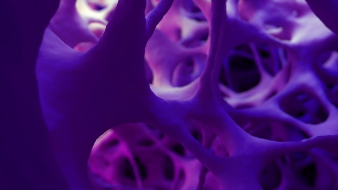 摄像机拍摄了一个3D动画，显示健康的海绵状骨组织，模仿电子显微镜的观点，美丽的照明。