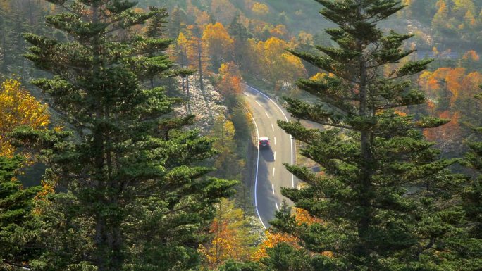 汽车驶过秋叶山路美丽的山间公路