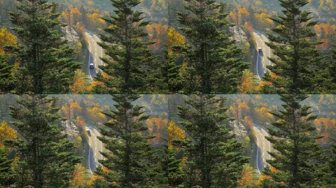 汽车驶过秋叶山路美丽的山间公路