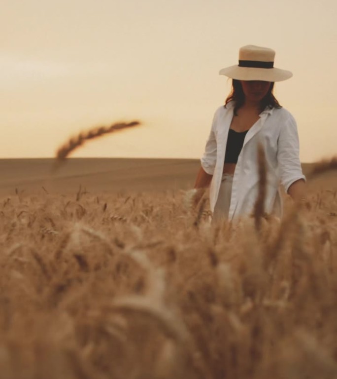 美丽的年轻女子摸着麦子，享受着夕阳美景
