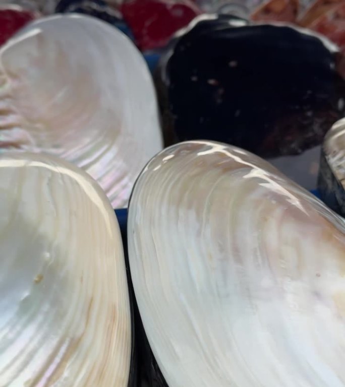 在印尼沿海的一个摊位上出售精美的加工过的贝壳