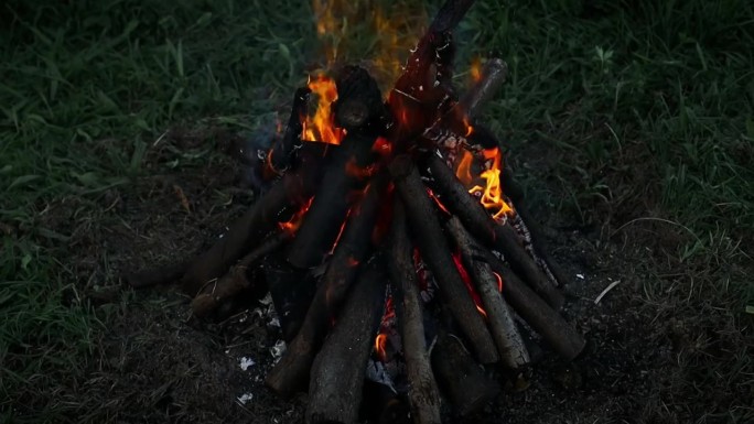 傍晚森林里篝火燃烧的特写，木头着火了。在森林里生火做饭。