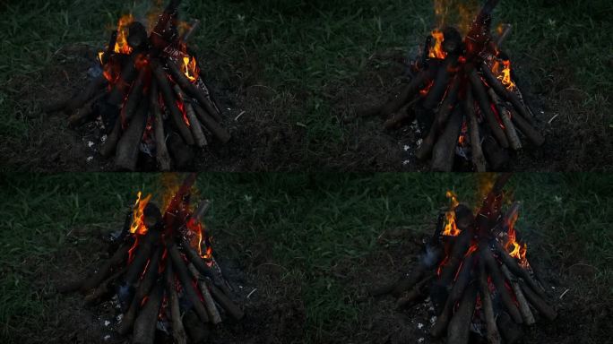 傍晚森林里篝火燃烧的特写，木头着火了。在森林里生火做饭。