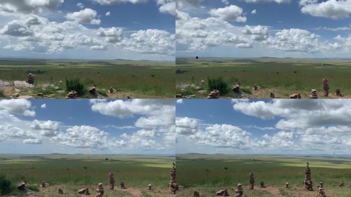 非洲马塞马拉大草原