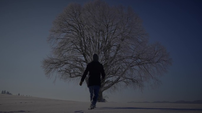 男人走在深雪中看着一棵树