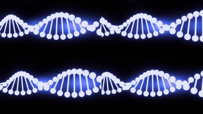 在黑色背景上提取DNA。基因信息科学动画的概念设计。分子。染色体。科学、生物学