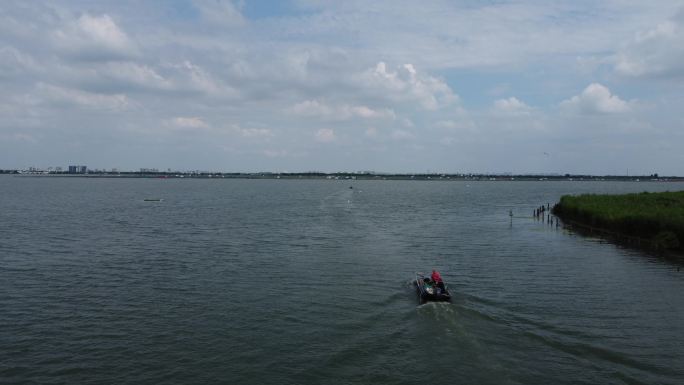 苏州阳澄湖夏天航拍