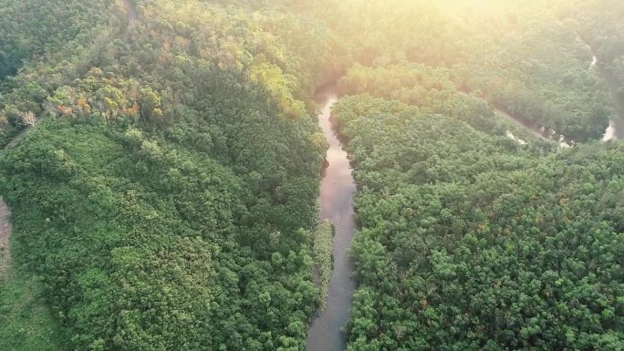 美丽的热带绿色森林河边，俯视图无人机拍摄的婆罗洲，加里曼丹，印度尼西亚。