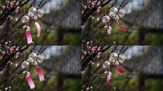 【4K】樱花树上挂着的风铃随风摇动
