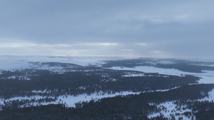 延时 呼伦贝尔雪原松林云景