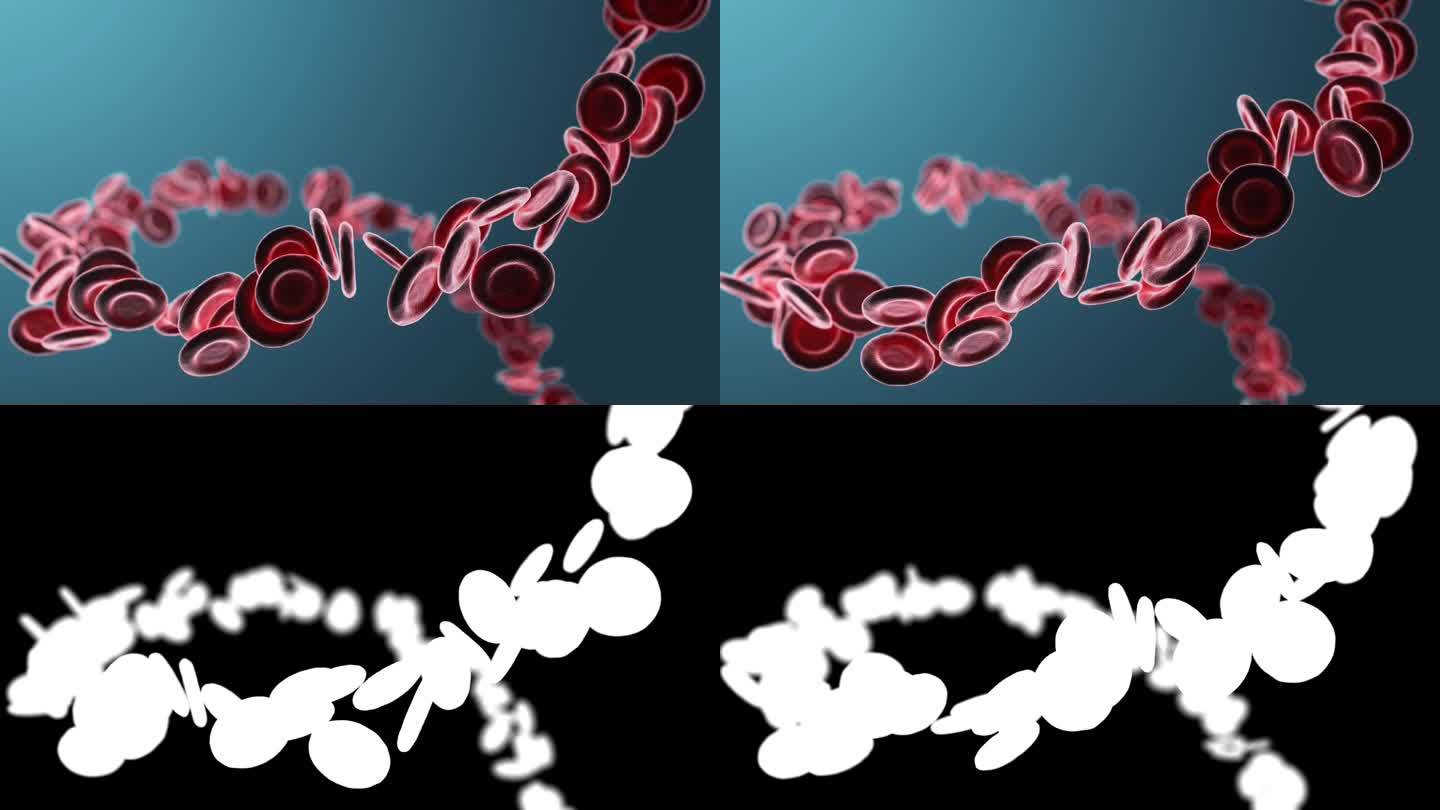 红细胞在蓝色背景上的特写。3D渲染动画。