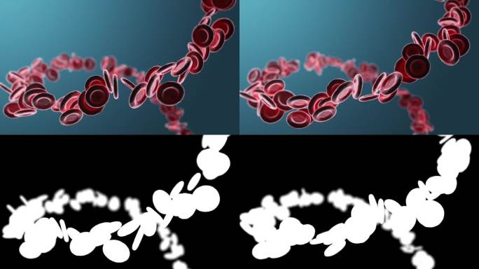 红细胞在蓝色背景上的特写。3D渲染动画。