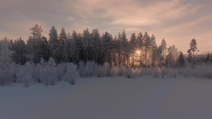 缓慢的风景从地面飞到被白霜覆盖的松树林上方，在日落的衬托下更加突出。北欧极度寒冷，气温低于零下30度