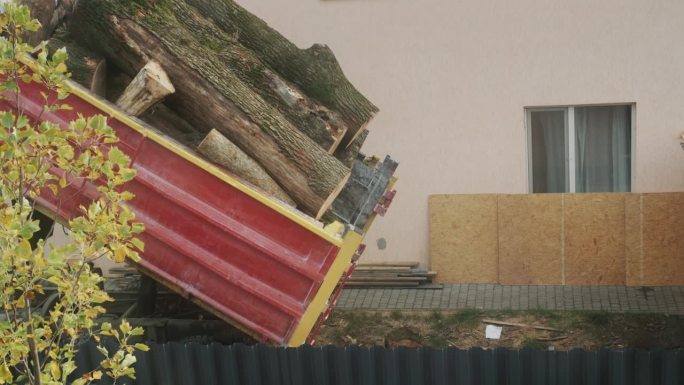 卡车从尸体上卸下厚原木，供房子取暖用