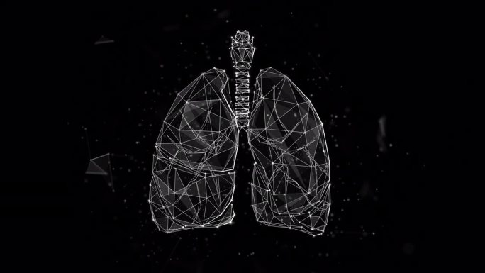 透明背景下呼吸人体肺的低聚环动画。