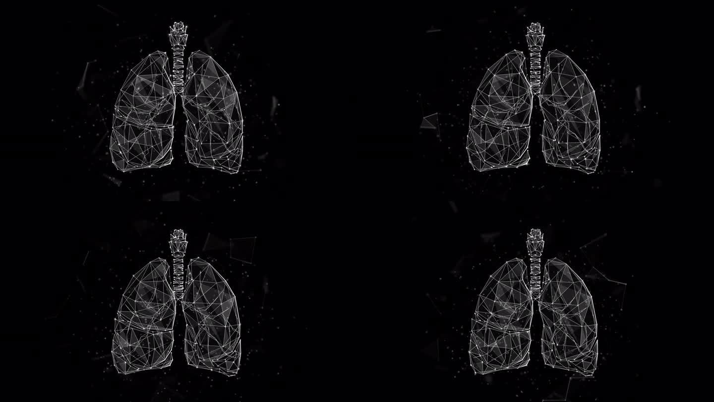 透明背景下呼吸人体肺的低聚环动画。