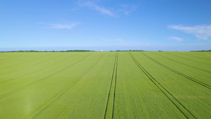 航拍:蔚蓝的天空下，英国沿海乡村一片欣欣向荣的麦田