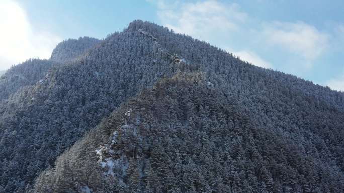 贺兰山生态环境（3）