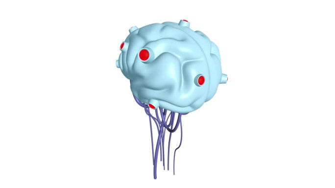 网络大脑有线神经网络。机器人永恒的器官。Cyborg的大脑