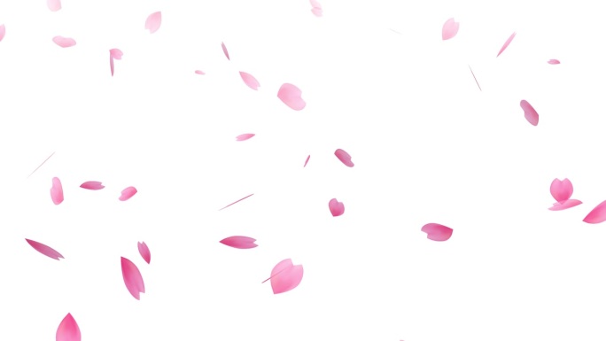 樱花花瓣四散的动画。