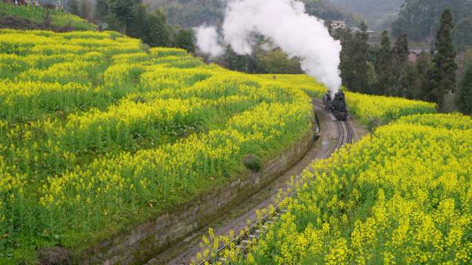 油菜花田中开往春天的列车