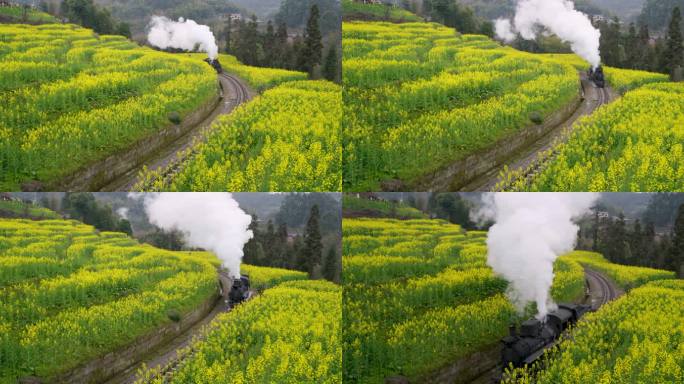 油菜花田中开往春天的列车