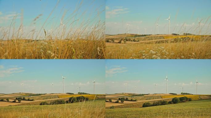 草地地平线:野花和风力涡轮机在农村