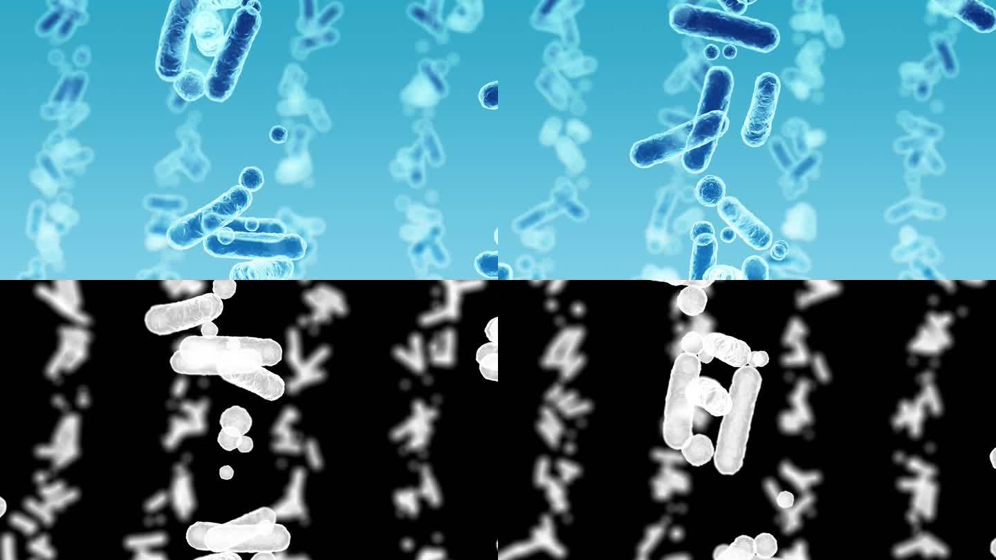 肠杆菌科，革兰氏阴性杆状菌，部分肠道菌群和不同感染的病原体，3D渲染。大肠杆菌、克雷伯氏菌、肠杆菌等