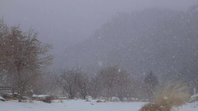 林海飞雪（1）