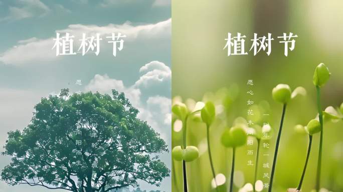 植树节 世界环境日 环保绿色 植树节竖版