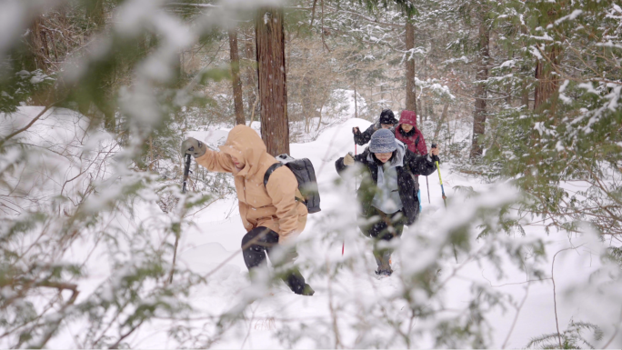 崂山冬天大雪 冬天登山 玩雪 雪花