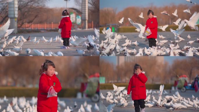 可爱小女孩在广场上喂鸽子