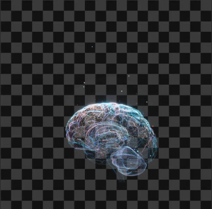 高清全息大脑 旋转循环动画3（带通道）