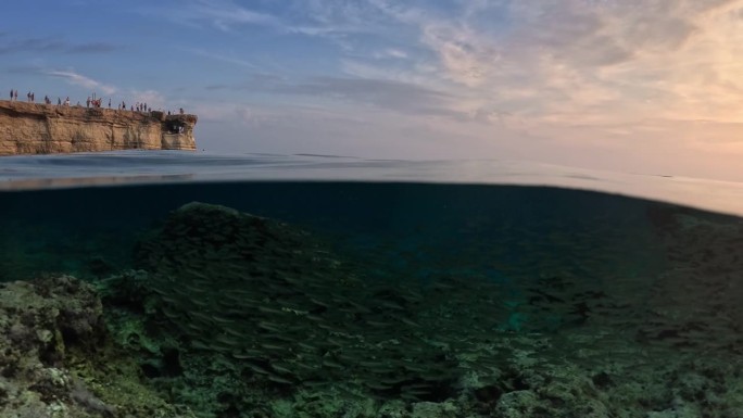 地中海塞浦路斯海岸的一群鱼。日落时半水下分拍。岩石，清澈的大海和日落的天空-塞浦路斯壮丽的自然风光