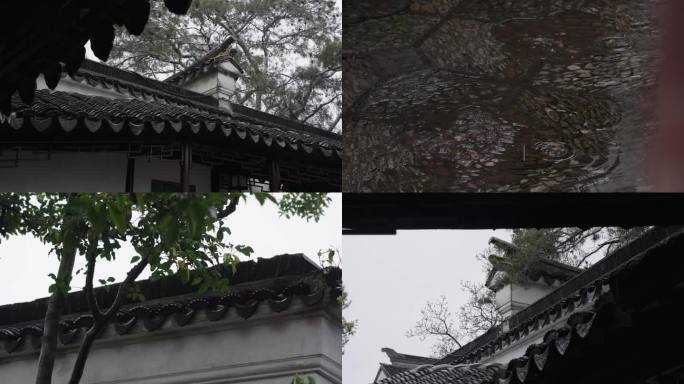 苏州园林 下雨 氛围 梅花 竹子 苏州