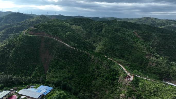 东山绿植塔阁青云步梯奇山