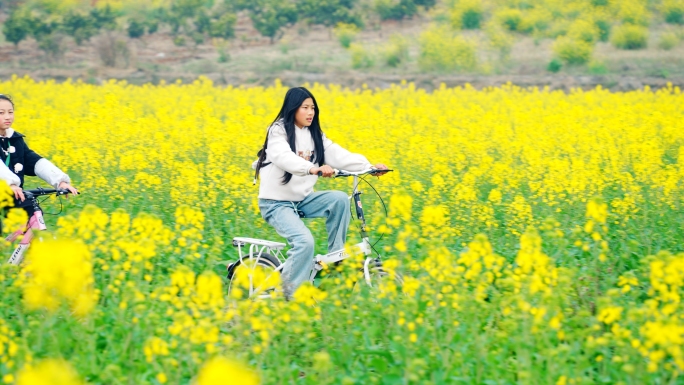 春天油菜花海骑行儿童奔跑踏青三月鸟语花香