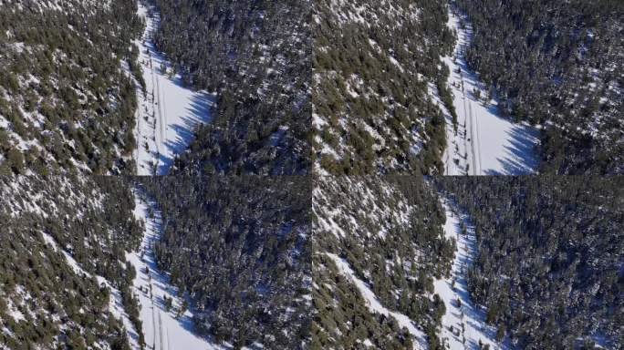从山顶俯瞰树木之间的雪景
