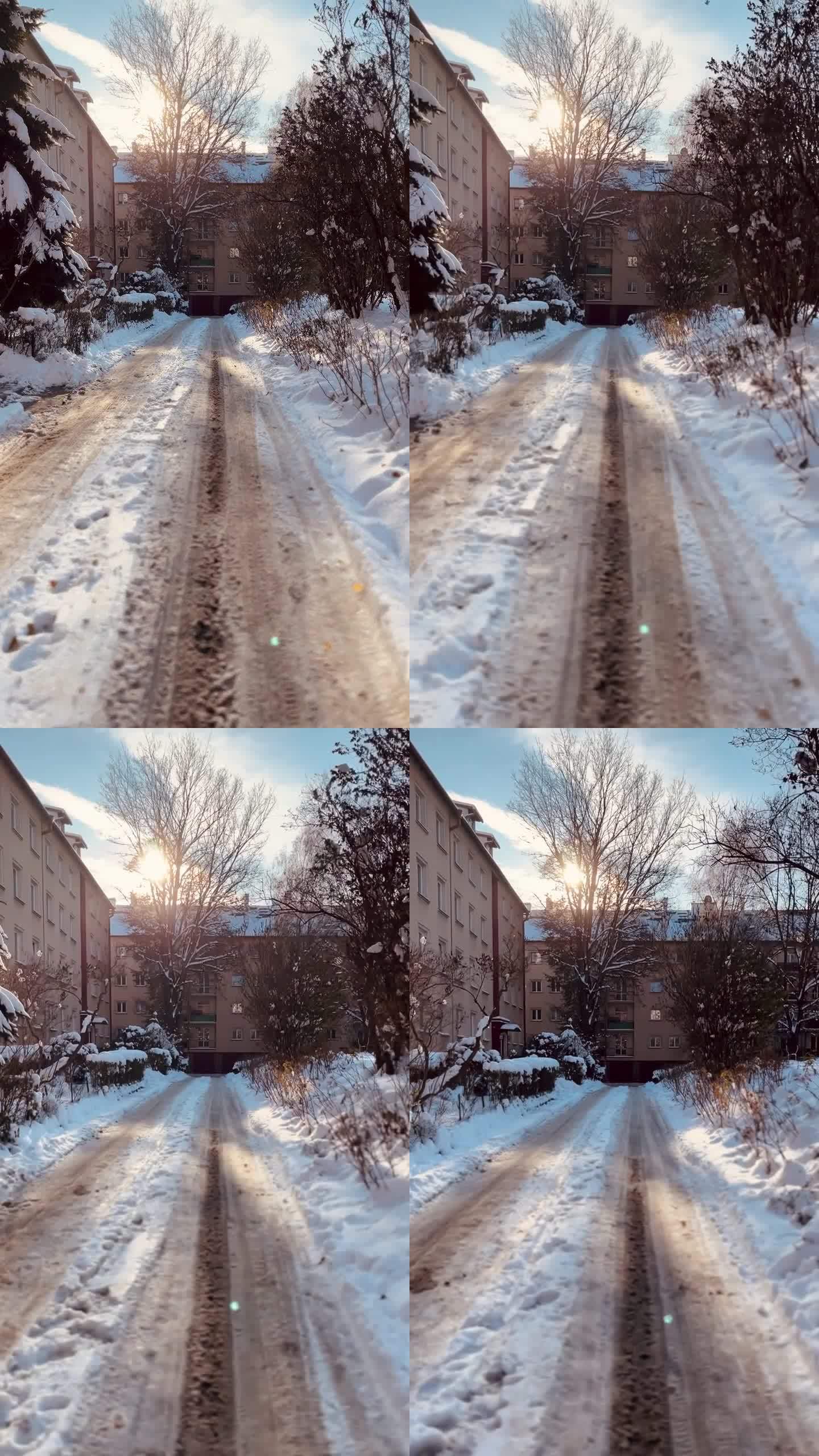 阳光下的雪路