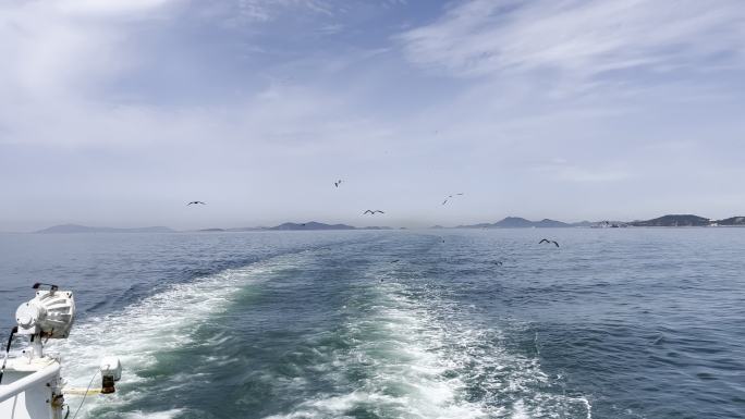 邮轮 海浪海鸥