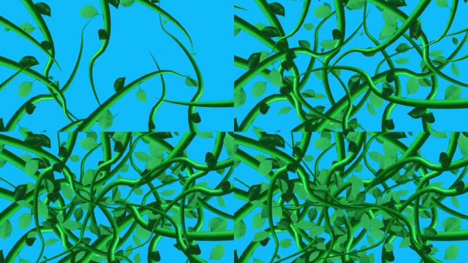丛林藤蔓动画生长元素在蓝屏色度键