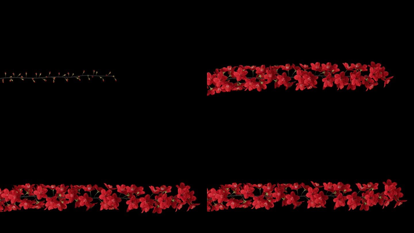 盛开的樱桃枝-红色花朵-在阿尔法频道中较低的第三个标题板
