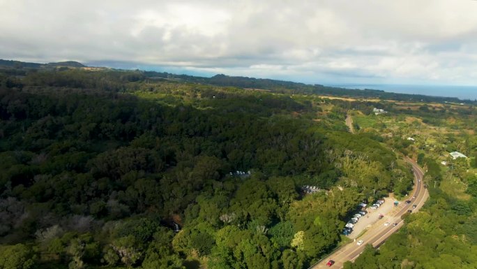 旋转无人机拍摄，哈纳之路，毛伊岛，夏威夷，绿树冠