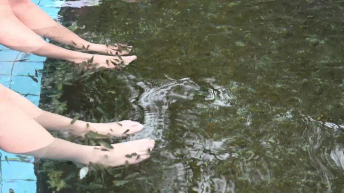 水池里的鱼疗脚鱼疗